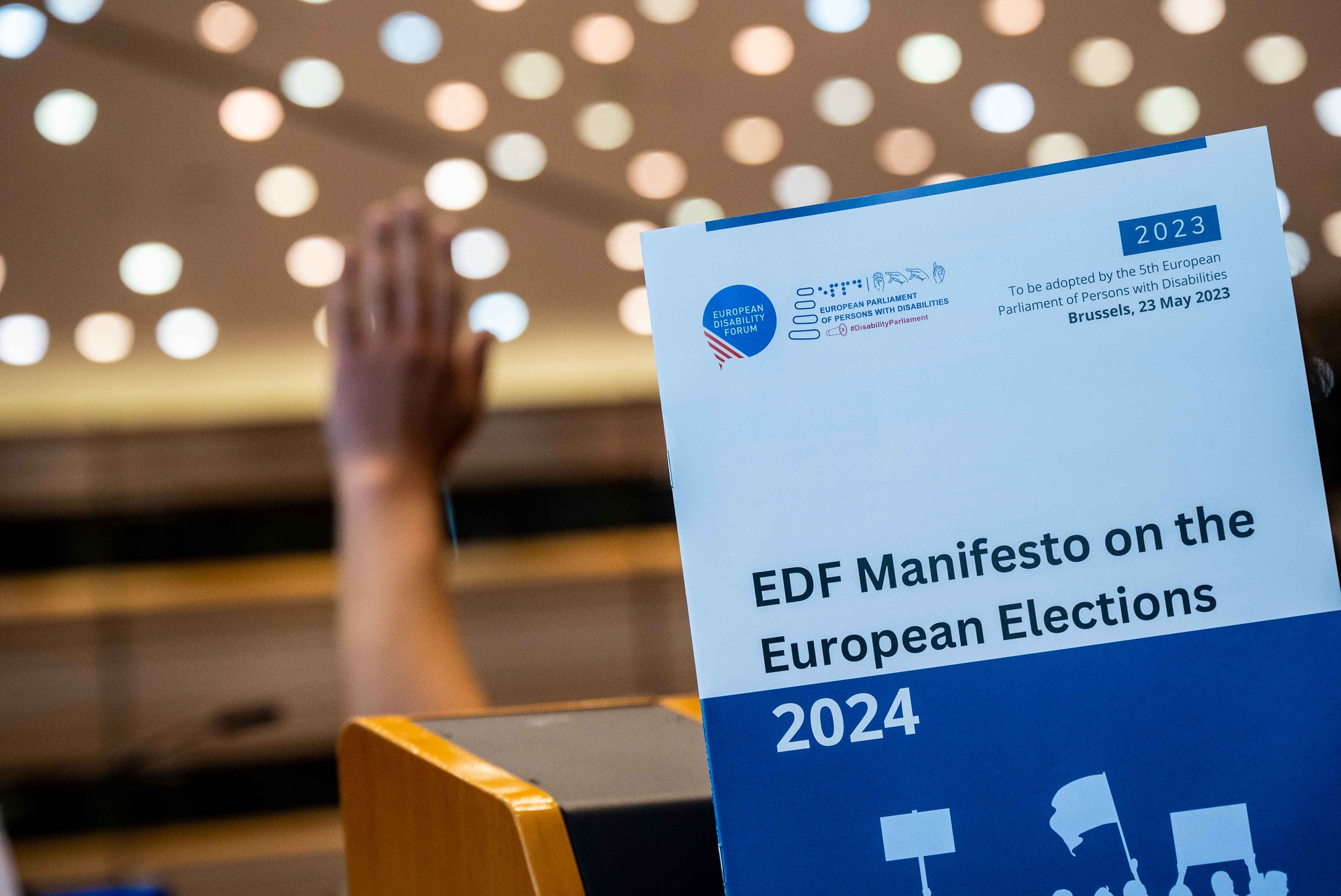 Manifesto European Disability Forum EDF