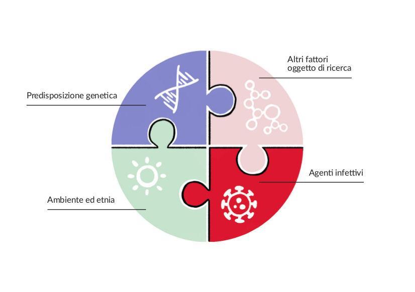 Sclerosi Multipla Come Agisce E Possibili Cause Aism Associazione Italiana Sclerosi Multipla