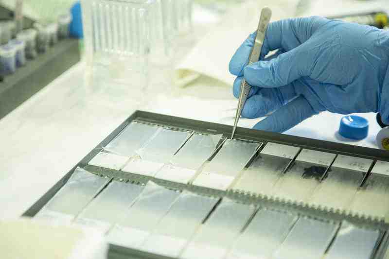 ricerca vetrino laboratorio ricerca vetrino laboratorio